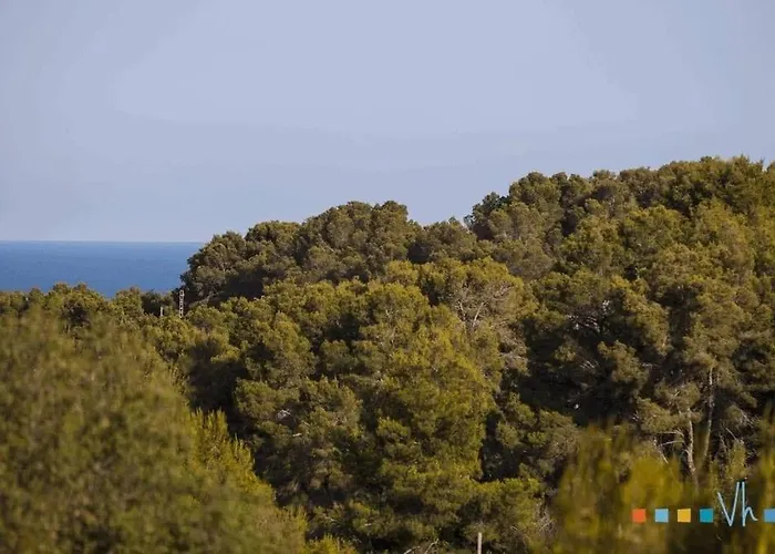 Vh Costablanca - Polen ベニッサ